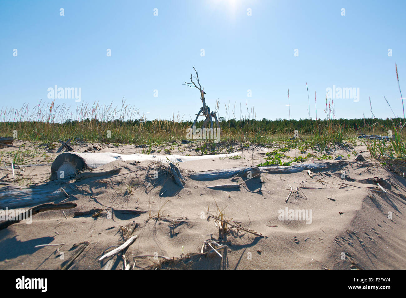 Pommerschen Küste. Weißes Meer. Russland, Gebiet Archangelsk. Stockfoto