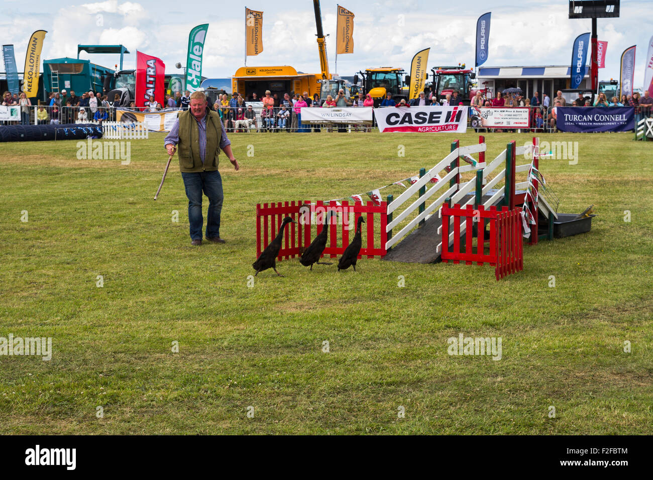 Quacksalber Commandos-Display auf der 2015 Haddington Messe Stockfoto