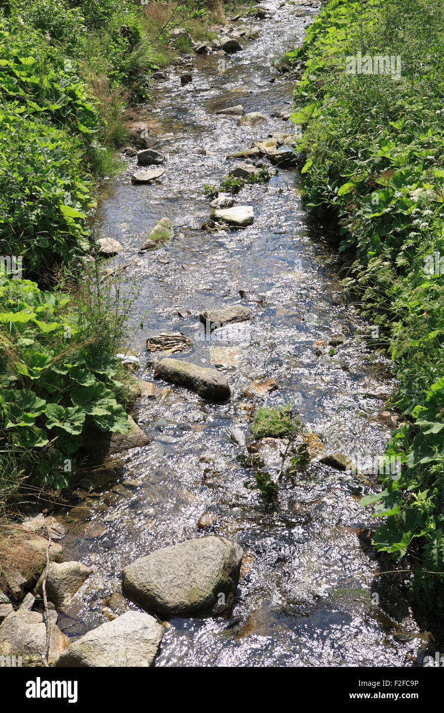 Goldbach Creek in der Stadt von Jarkowice ehemaligen deutschen Hermsdorf Städtisch, untere Schlesien, Polen, Europa Stockfoto