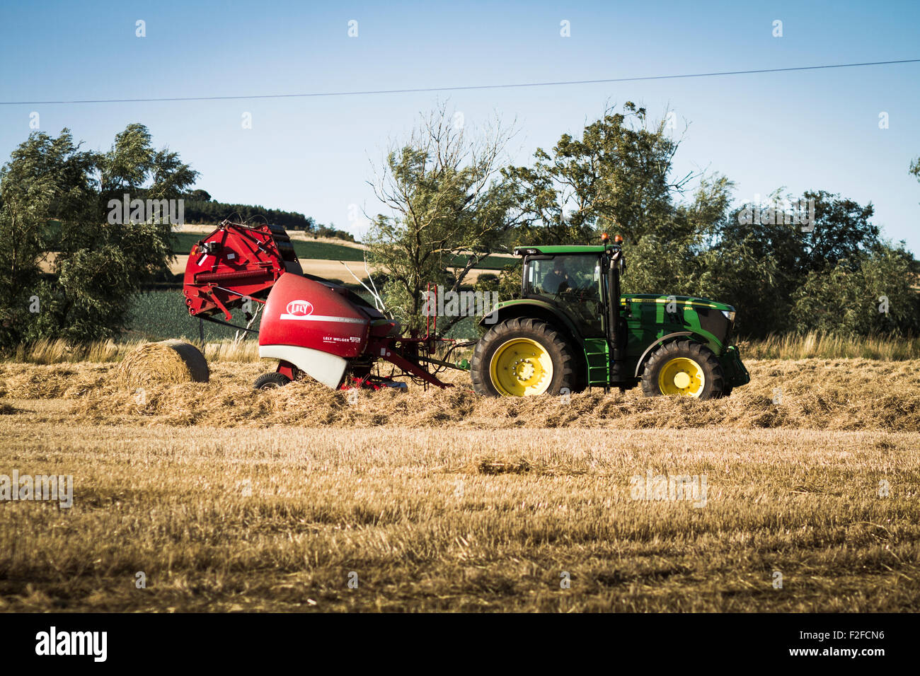 Traktor mit Pressen Maschine arbeitet in einem abgeernteten Weizenfeld Stockfoto