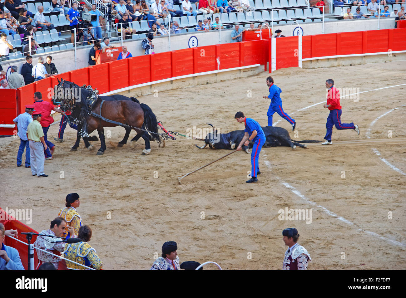 BARCELONA, Spanien - 1. August 2010: eines der letzten Stadien von einer spanischen traditionellen Belustigung, Corrida (Stierkampf) - draggin Stockfoto