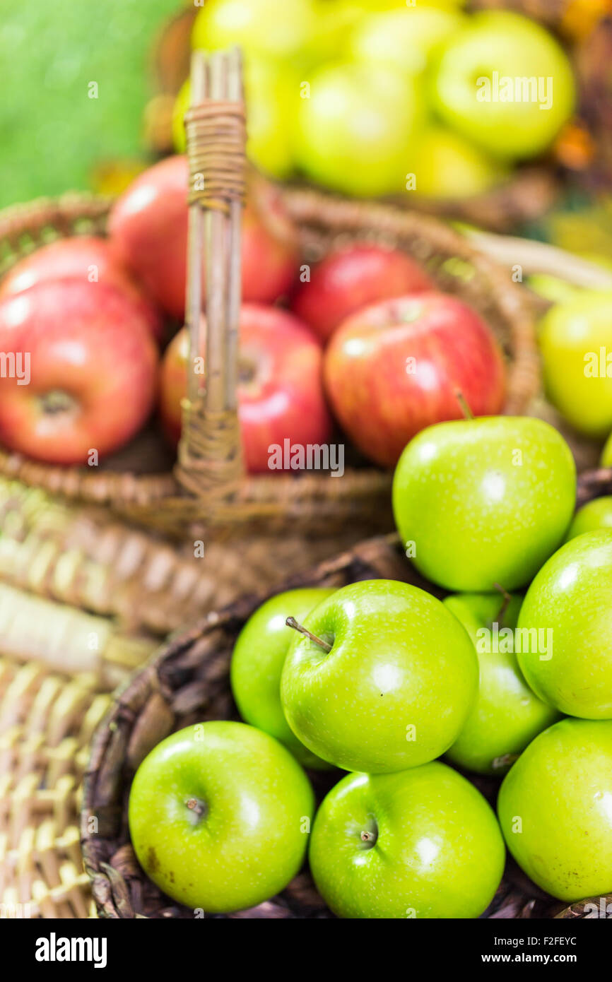 Frisch gepflückt Bio-Äpfel auf dem Bauernhof. Stockfoto