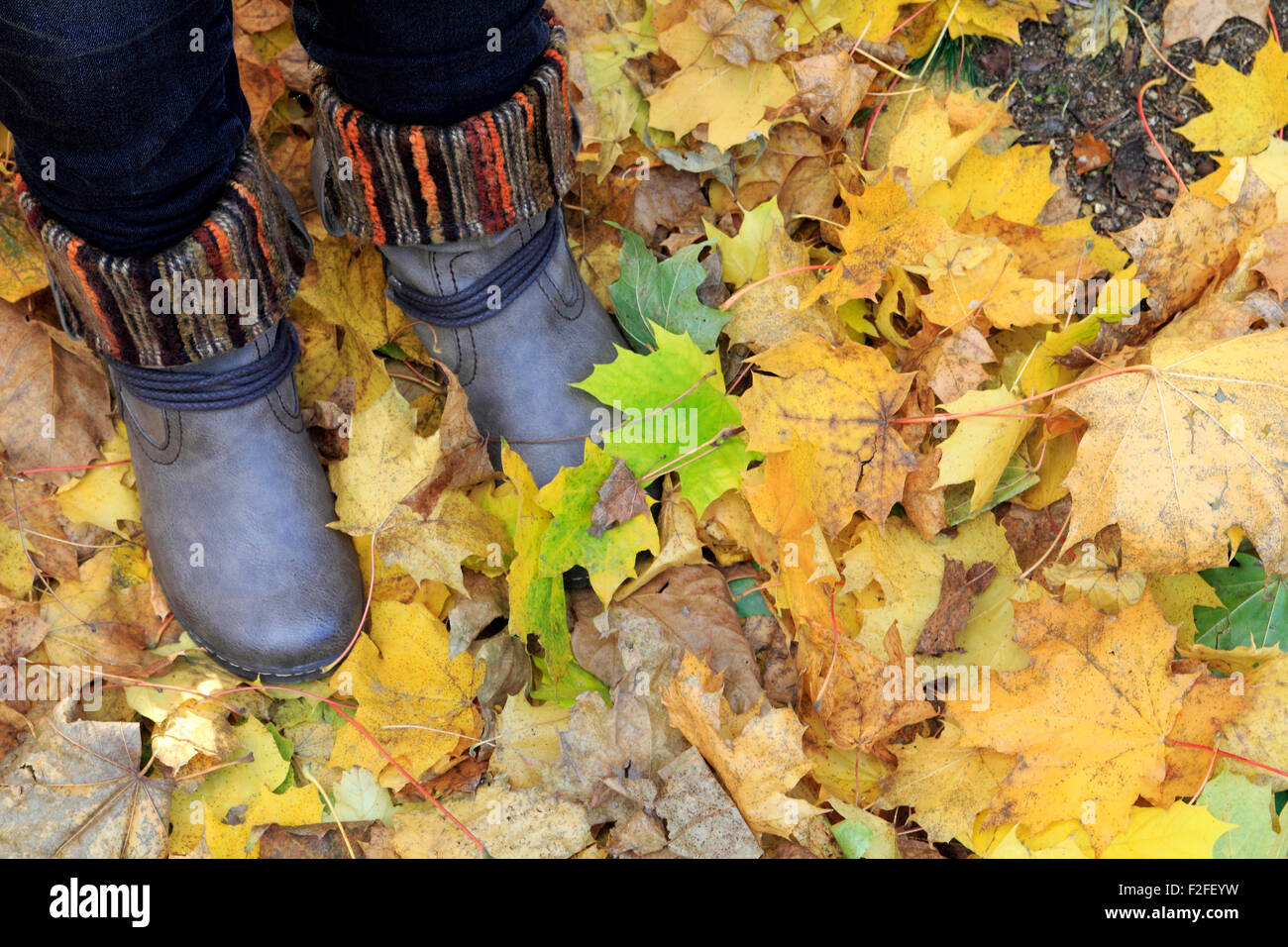 Ein paar von Frau Stiefel im Herbst mit Laub Stockfoto