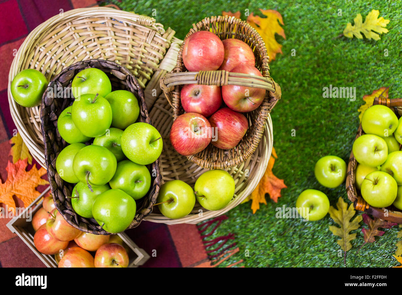 Frisch gepflückt Bio-Äpfel auf dem Bauernhof. Stockfoto