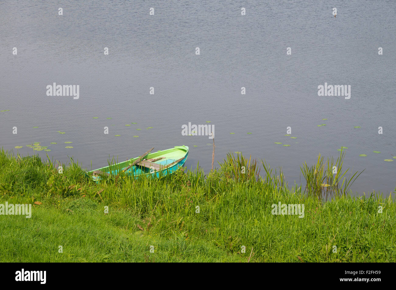 kleine grüne Ruderboot in einem Teich in den Niederlanden Stockfoto