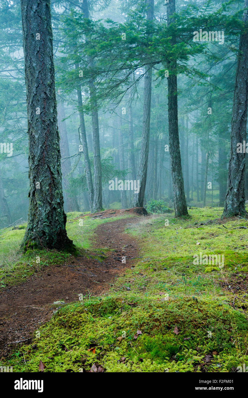 Bluffs Park, Galiano Island. Gulf Islands, British Columbia, Kanada Stockfoto