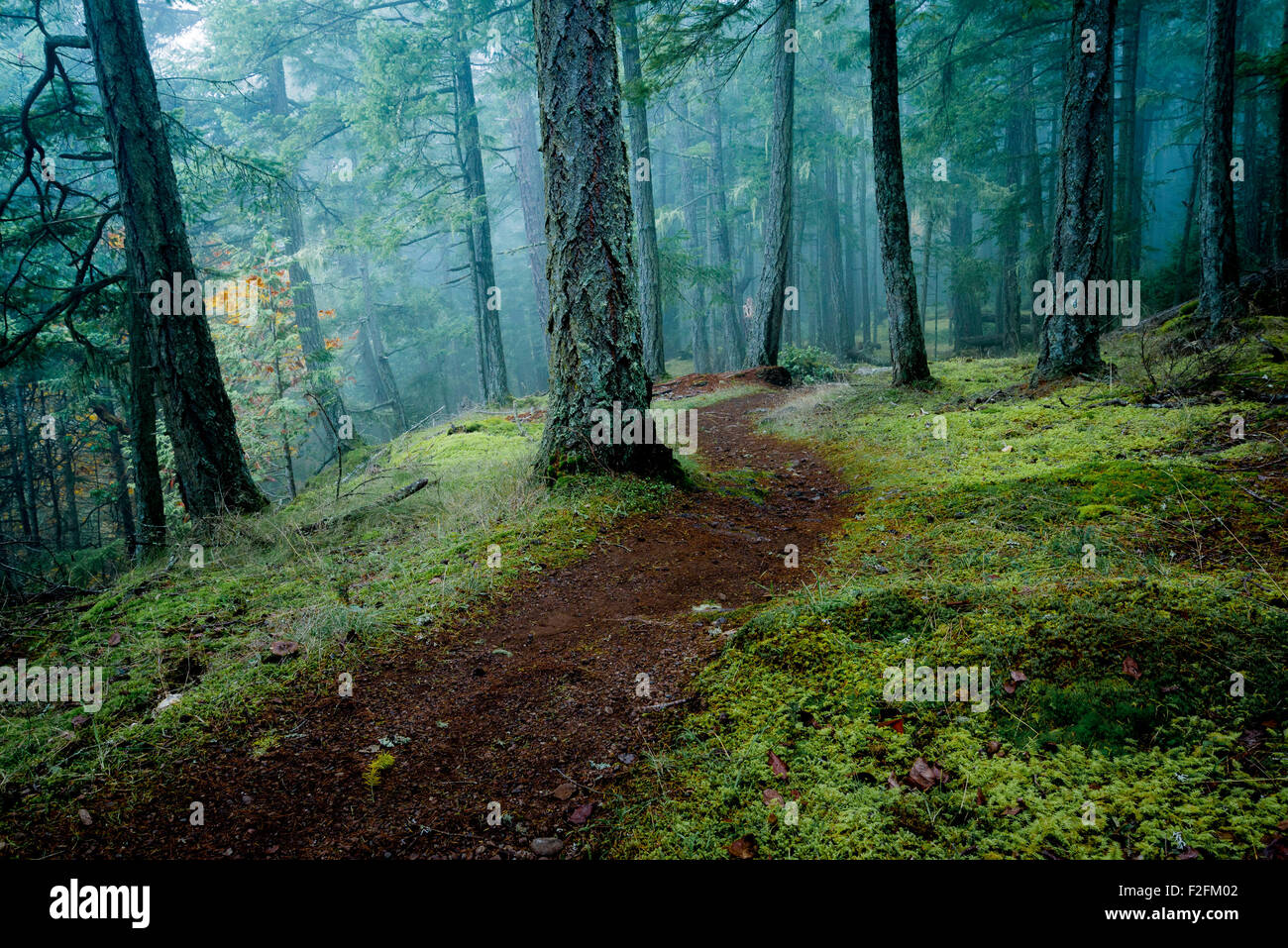 Bluffs Park, Galiano Island. Gulf Islands, British Columbia, Kanada Stockfoto
