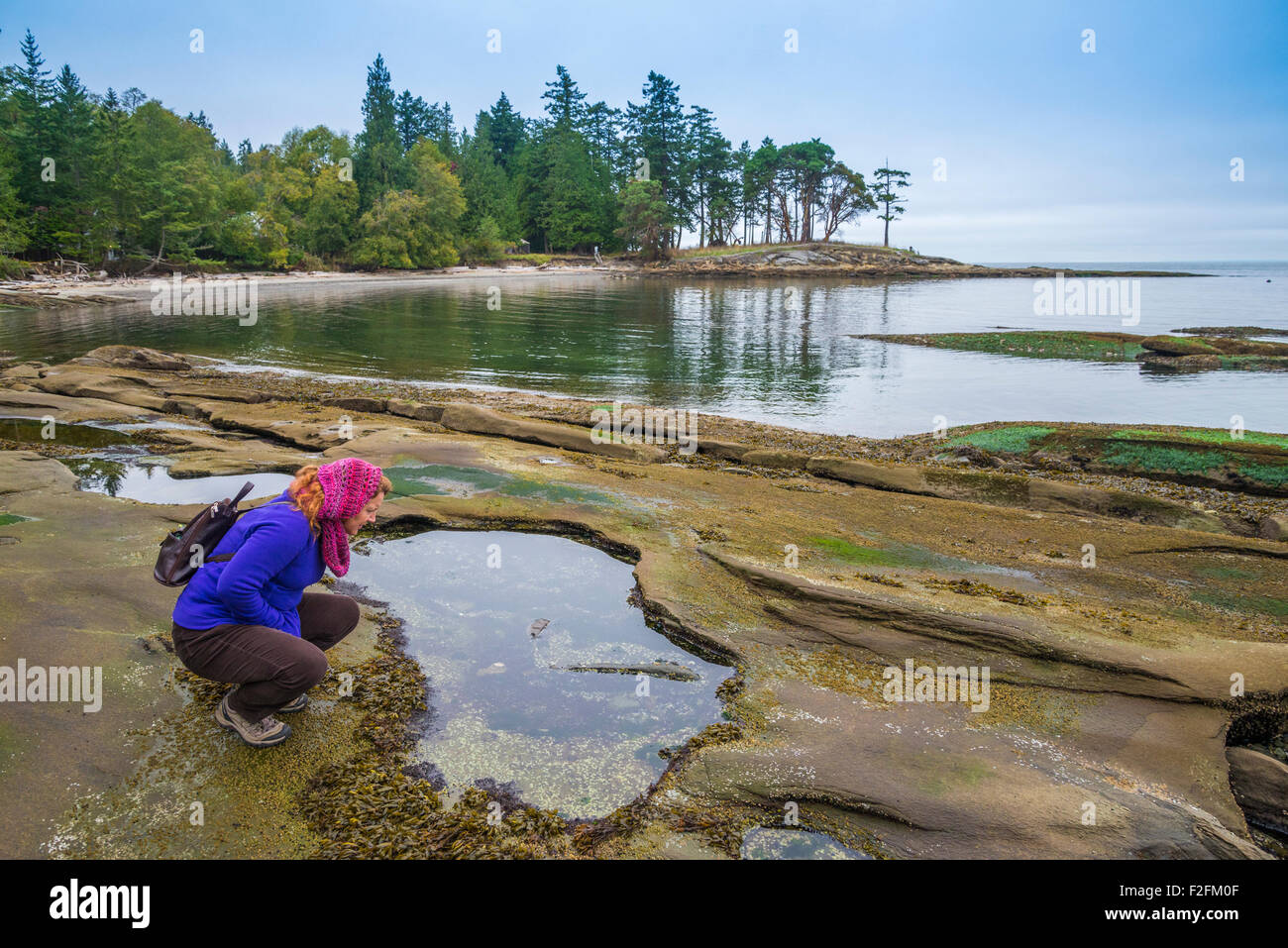 Frau, die in der Ursuppe, Galiano Island. British Columbia, Kanada Stockfoto