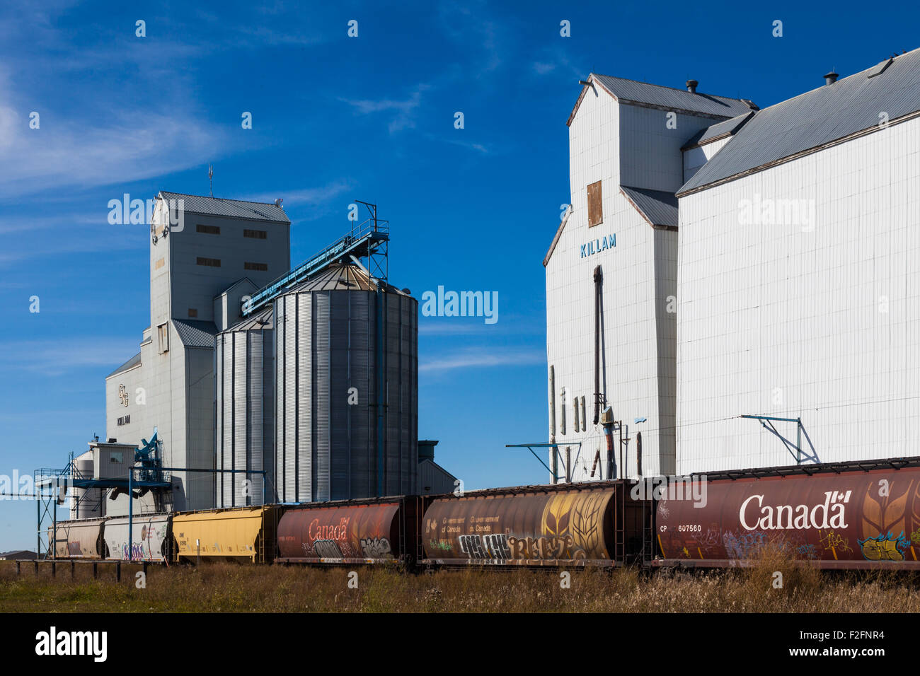 Killam alberta kanada Fotos und Bildmaterial in hoher Auflösung Alamy