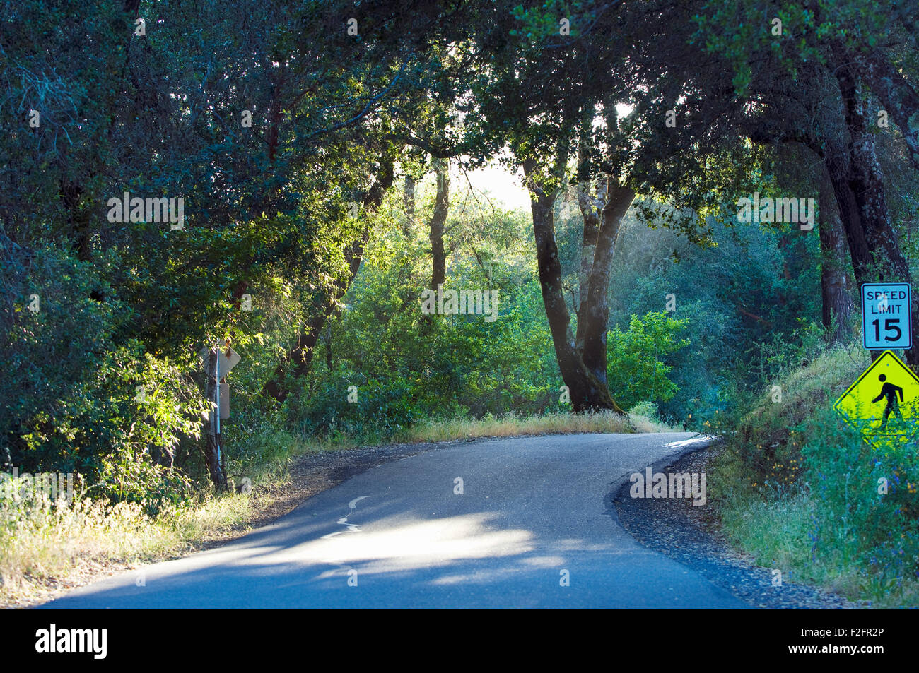 Eine Landstraße zurück in Sonoma Valley, Kalifornien Stockfoto