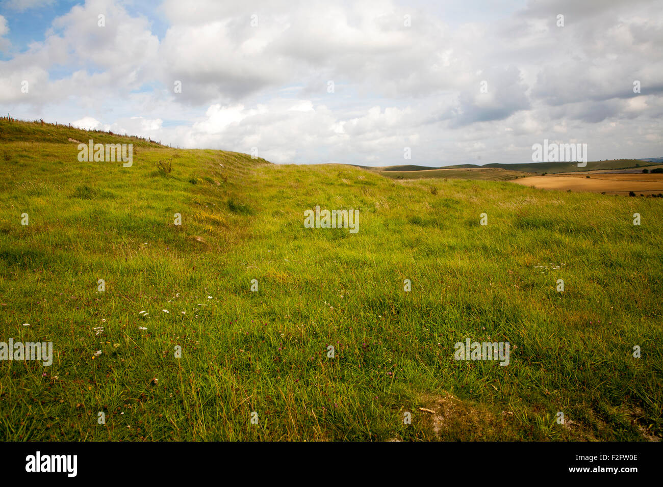 Alten terrassierten Felder bekannt als Streifen Lynchets schneiden in einem Kreide Hügel, Bischöfe Cannings, Wiltshire, England, UK Stockfoto