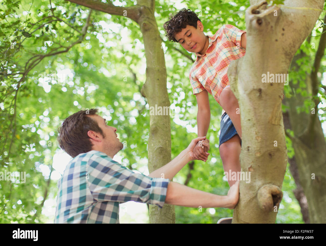 Vater helfen Sohn Kletterbaum Stockfoto