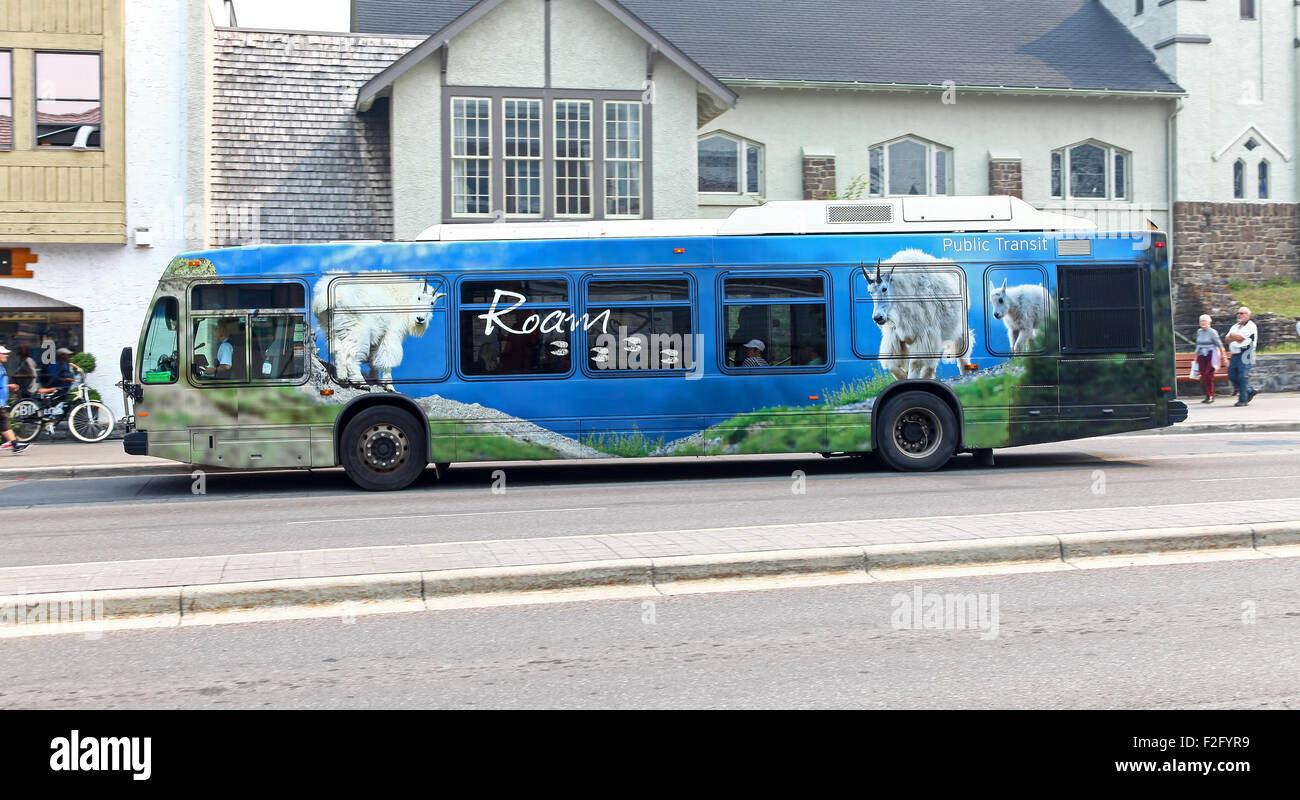 Ein Roam ÖPNV-Verkehrsmittel-Bus mit Bildern von Bergziegen auf der Seite Banff Nationalpark Alberta Kanada. Stockfoto