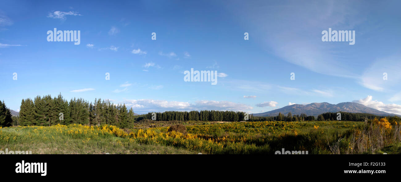 Landschaft im Tongariro National Park, Manawatu-Wanganui, Neuseeland Stockfoto