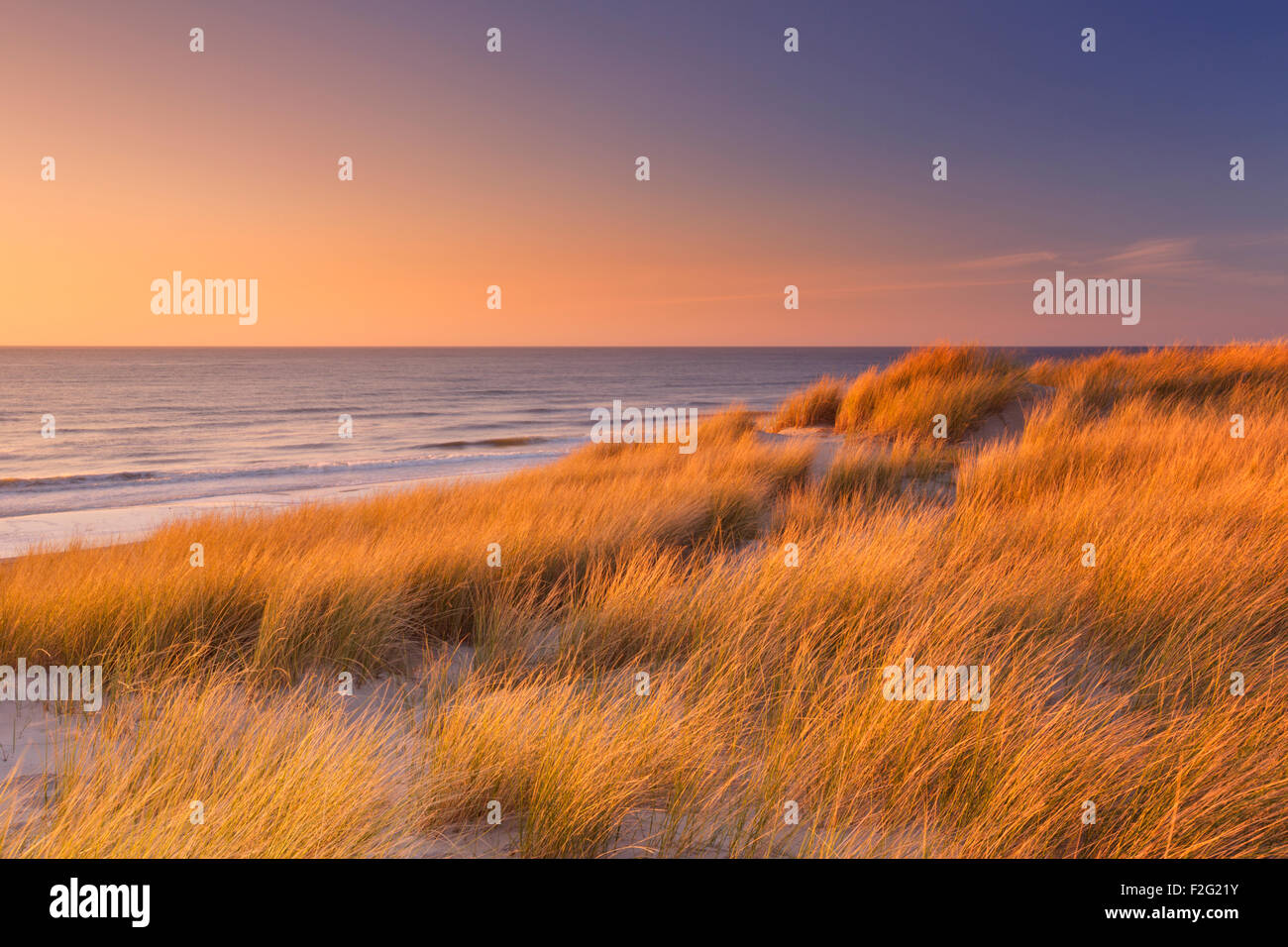 Hohe Dünen mit Dünengras und einem breiten Strand unten. Fotografiert bei Sonnenuntergang auf der Insel Texel in den Niederlanden. Stockfoto