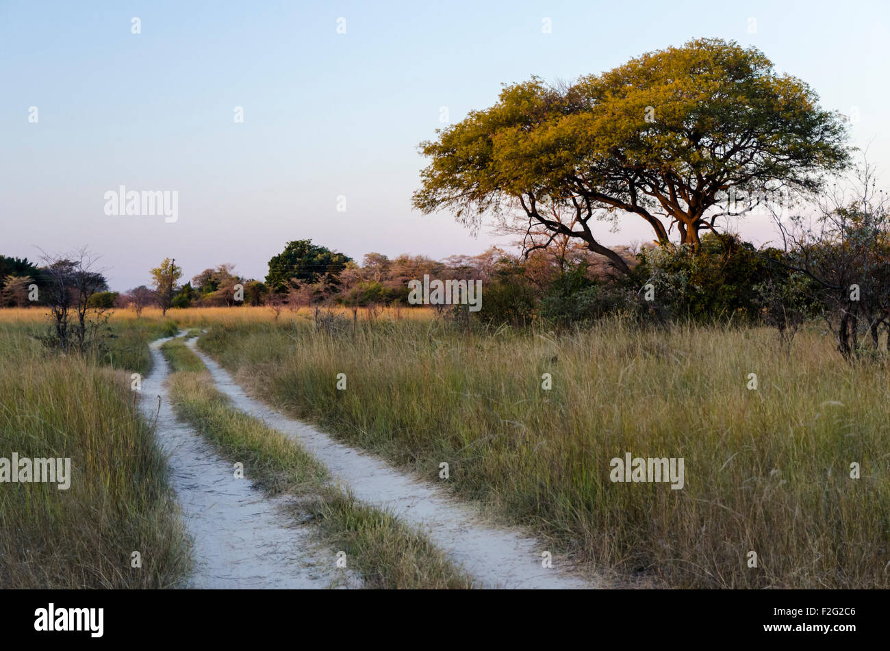 Die Strecke zur Kalizo Lodge außerhalb Katima Mulilo neben den Sambesi-Fluss in der Region Namibias Caprivi (Zambezi) Stockfoto