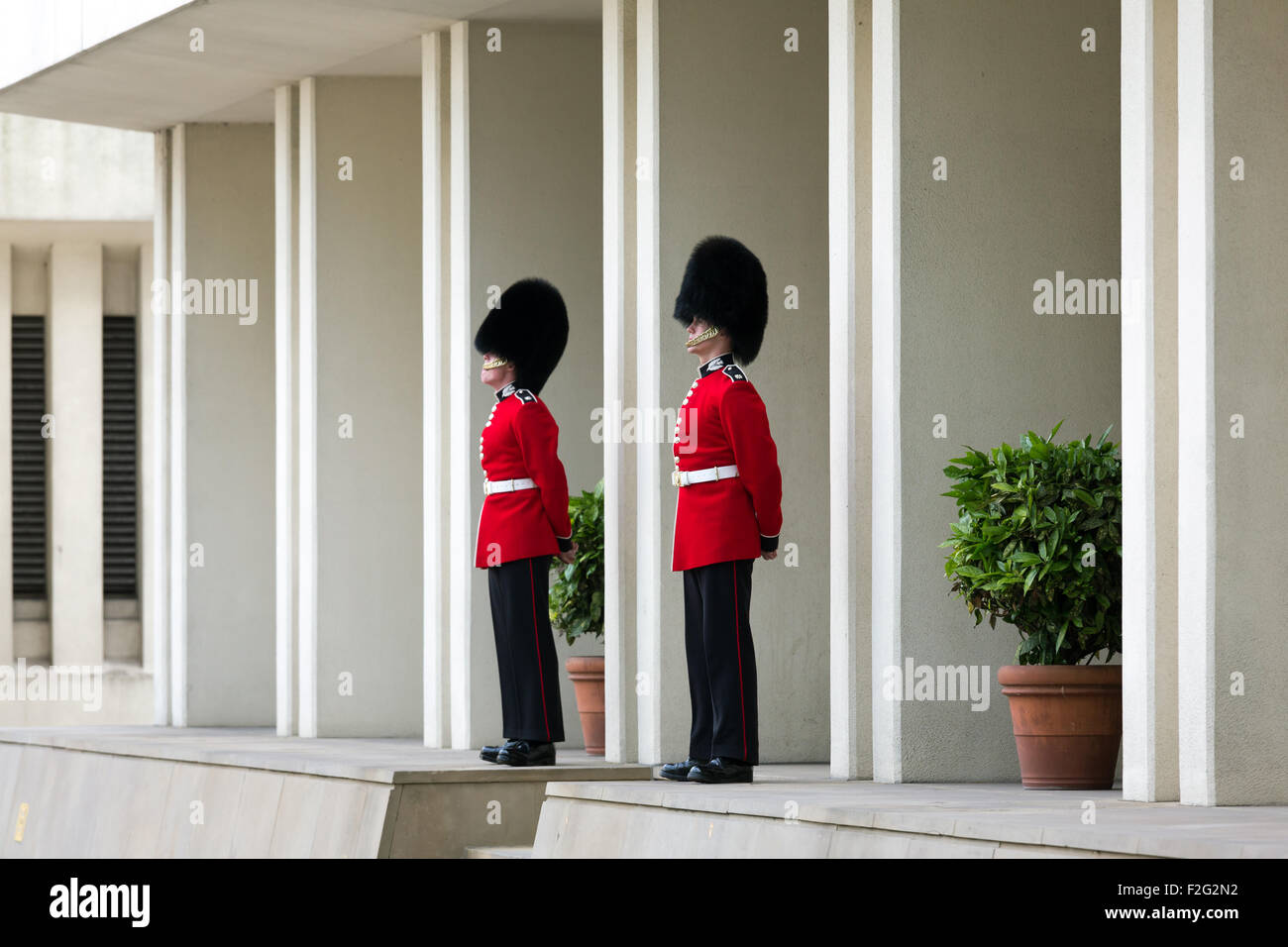 04.06.2012, London, größere London, United Kingdom - The Grenadier Guards (dt.: Grenadier Guards), auch bekannt als 1. Fuß Stockfoto