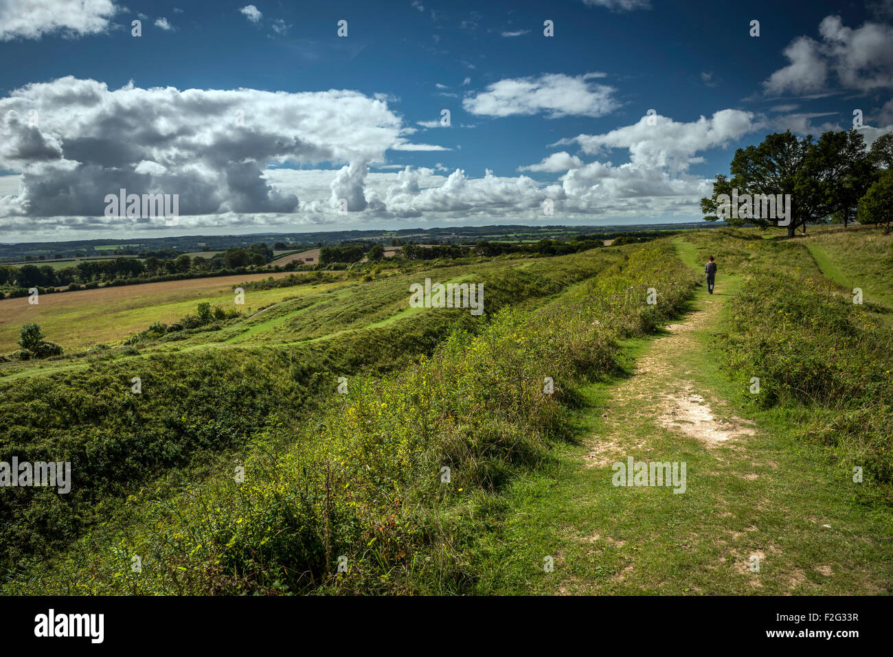 Badbury Rings Eisenzeit Wallburg in der Nähe von Blandford Forum, Dorset, Großbritannien Stockfoto
