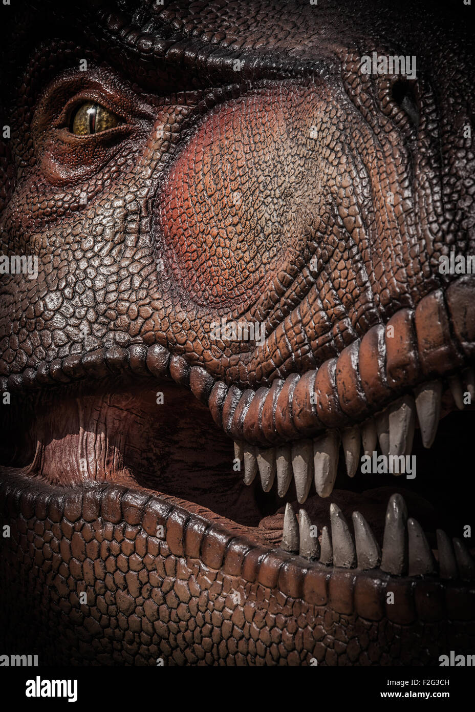 Carnivorous tyrannosaurus rex dinosaur -Fotos und -Bildmaterial in