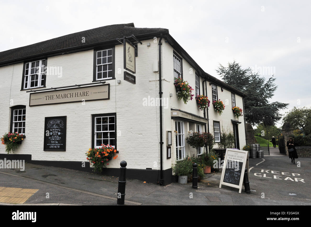 Guildford Surrey UK - The March Hare Pub The Castle Stockfoto