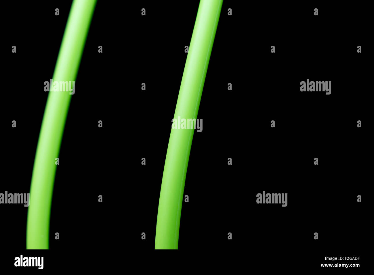 Eine abstrakte Makroaufnahme grüne Linien auf einem rein schwarzen Hintergrund. Stockfoto