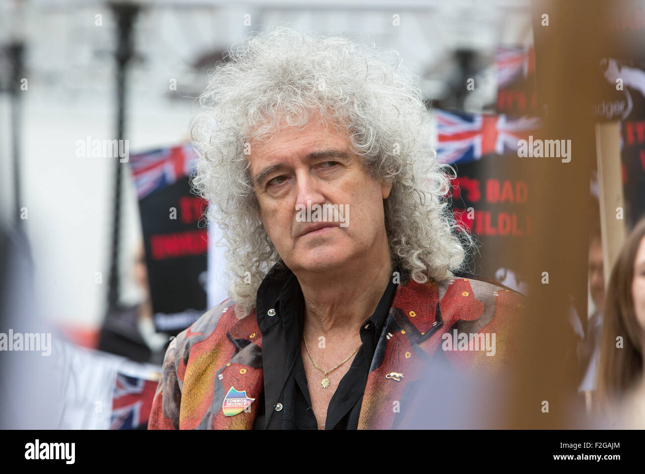 Brian führt May, Lead-Gitarrist bei der Rockband Queen, eine Demonstration gegen den Dachs cull.2263, Dachse gekeult wurden Stockfoto