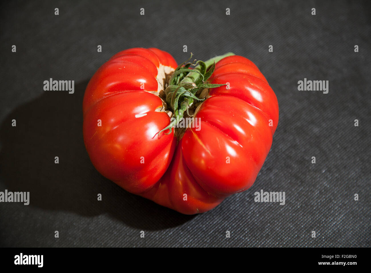 Harrogate, Yorkshire, Großbritannien. 18. September 2015. Harrogate jährliche Herbst Flower Show, Attraktionen zählen die riesigen Gemüsen Wettbewerb und rangiert als eines britischen top drei im Garten Veranstaltungen. Gigantomo Tomaten können nur gekauft werden, von Lincolnshire Samen Verkäufer Van Meuwen, lesen Sie mehr: http://www.dailymail.co.uk/news/article-2923394/That-s-quite-salad-world-s-largest-tomato-big-just-one-feed-entire-family-goes-The Firma hat sogar auf einen Jackpot von £5.000 für jeden, der eine Gigantomo Tomate wachsen kann, das bricht den Weltrekord von 7 Pfund 12 Unze Credit ratlos: Cernan Elias/Alamy Live News Stockfoto