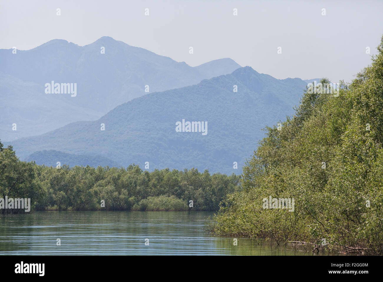 Skutarisee, Montenegro, an einem nebligen Morgen Stockfoto