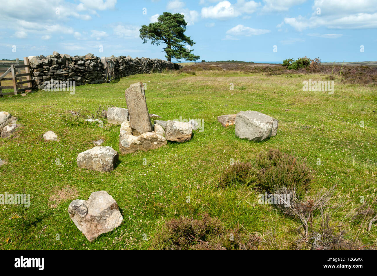 Die Überreste von John Cross, schießen Haus Rigg, Raketenstarts Moor, North Yorkshire Moors, Yorkshire, England, UK Stockfoto
