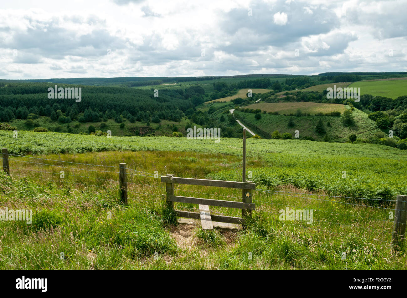 Hölzernen Stil über das Tal von Mai Beck, North Yorkshire Moors, Yorkshire, England, UK Stockfoto