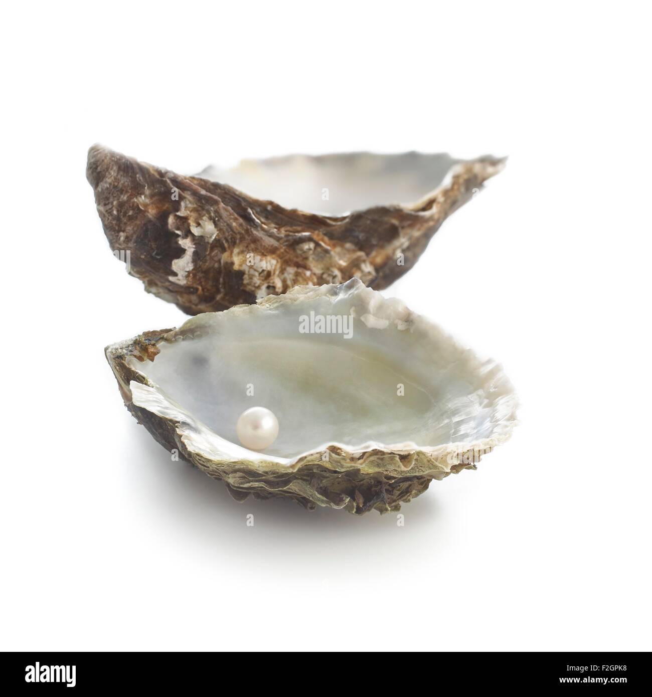 Pazifische Auster Muschel und Perle Stockfoto