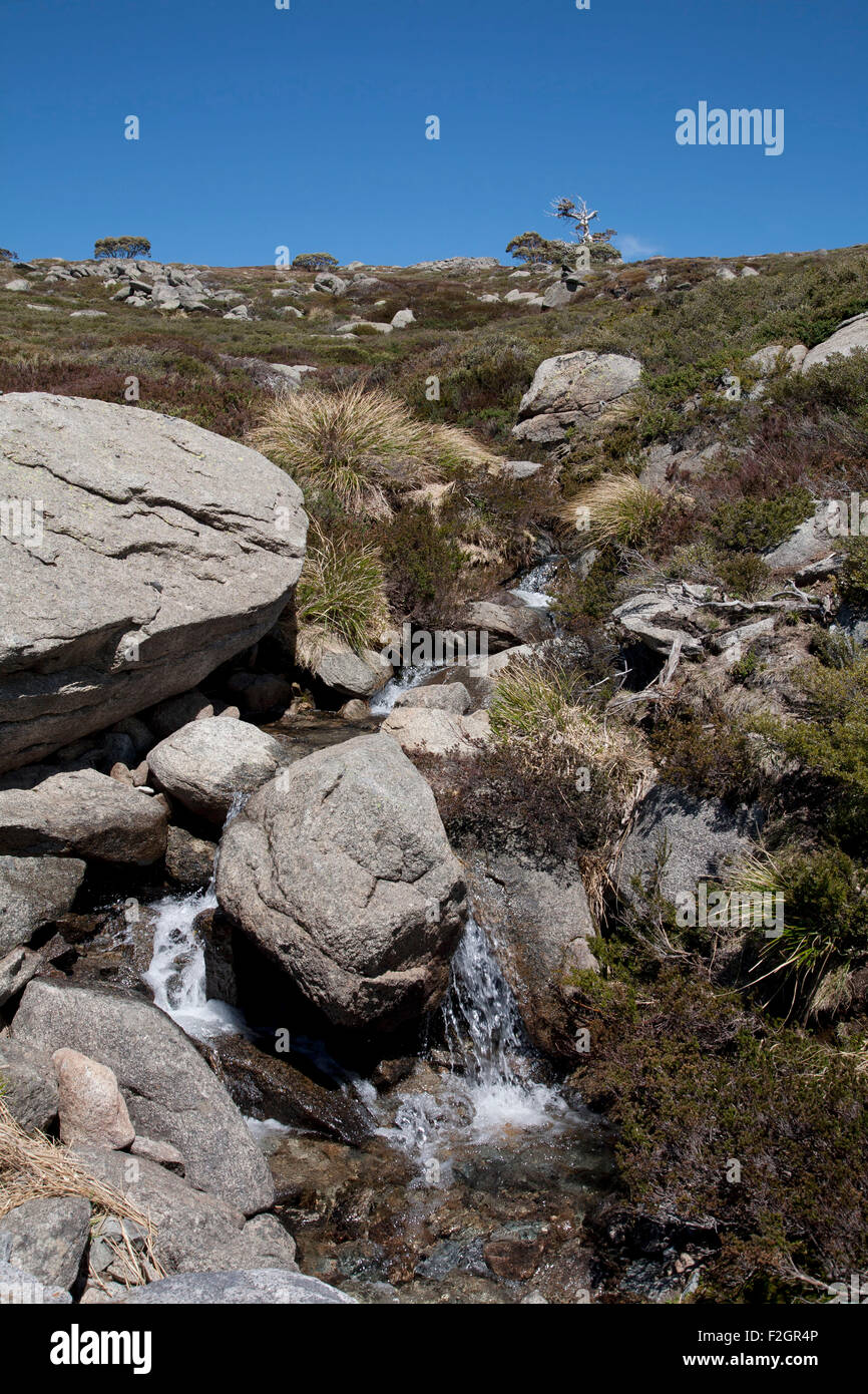 Unberührten Schneeschmelze Gebirgsbach mündet in den Snowy River Kosciuszko National Park Australien Stockfoto