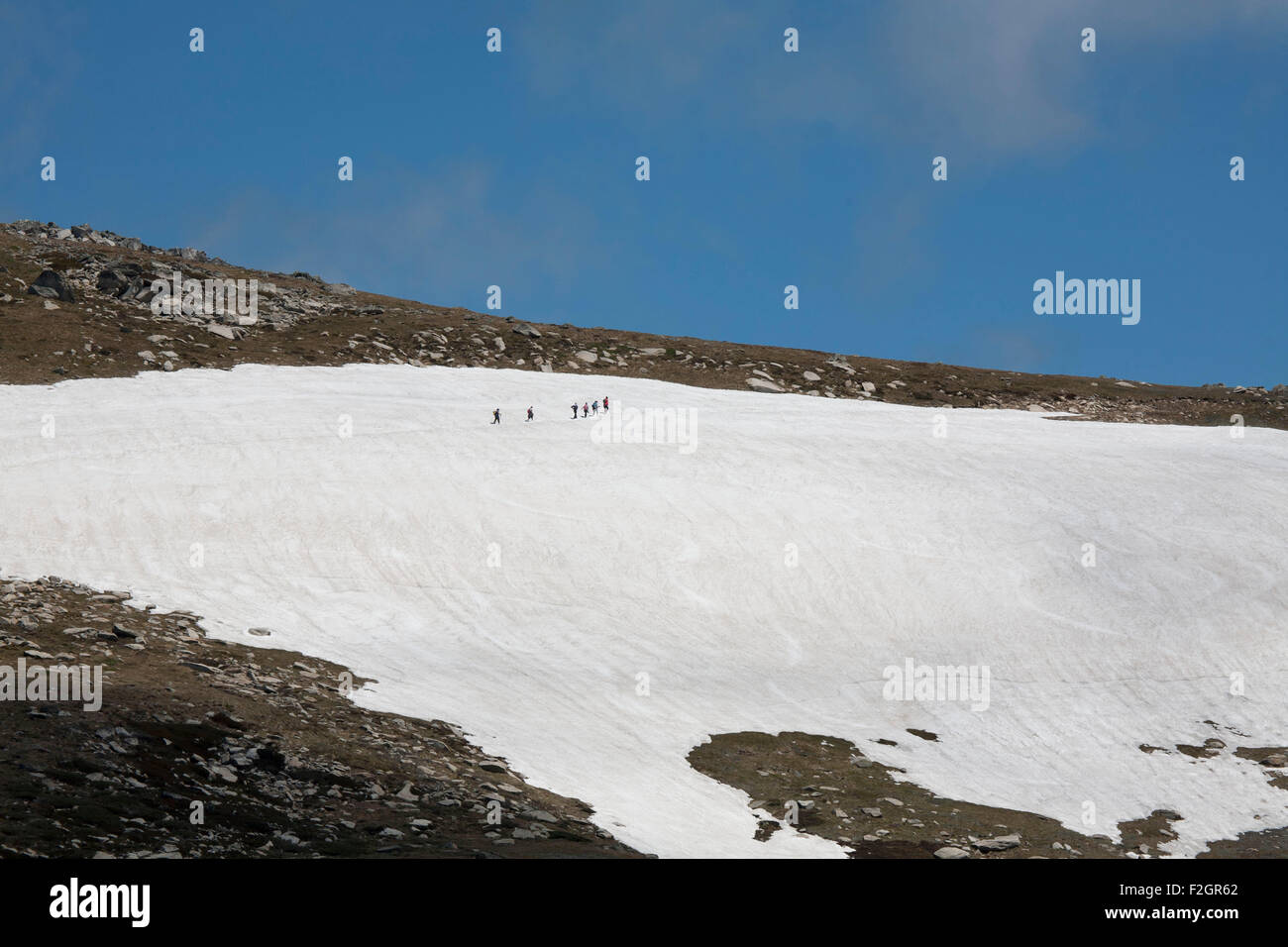 Gruppe von Wanderern auf den Spuren durch den Schnee auf den Gipfel des Mount Kosciusko New South Wales Australien Stockfoto
