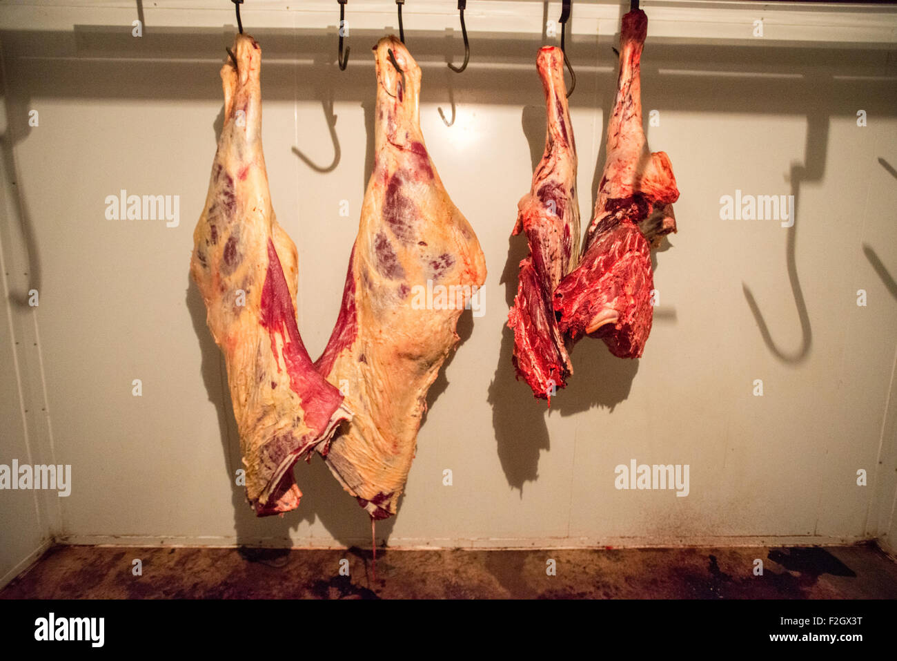 Rindfleisch in Fleisch Locker bei Schlachtung in Botswana, Afrika Stockfoto