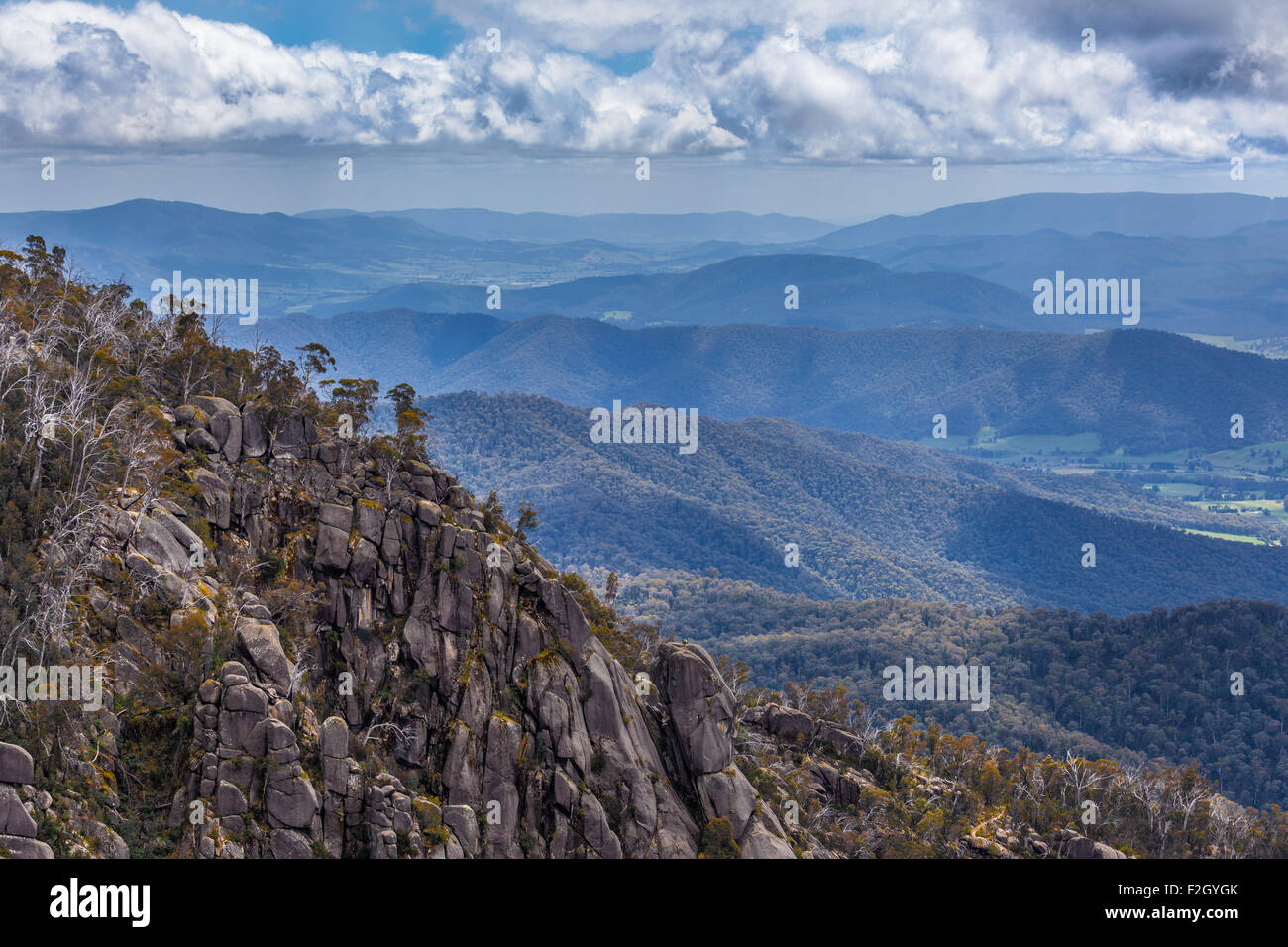 Ansicht der australischen Alpen vom Mt Buffalo National Park, The Gorge Suche. Stockfoto