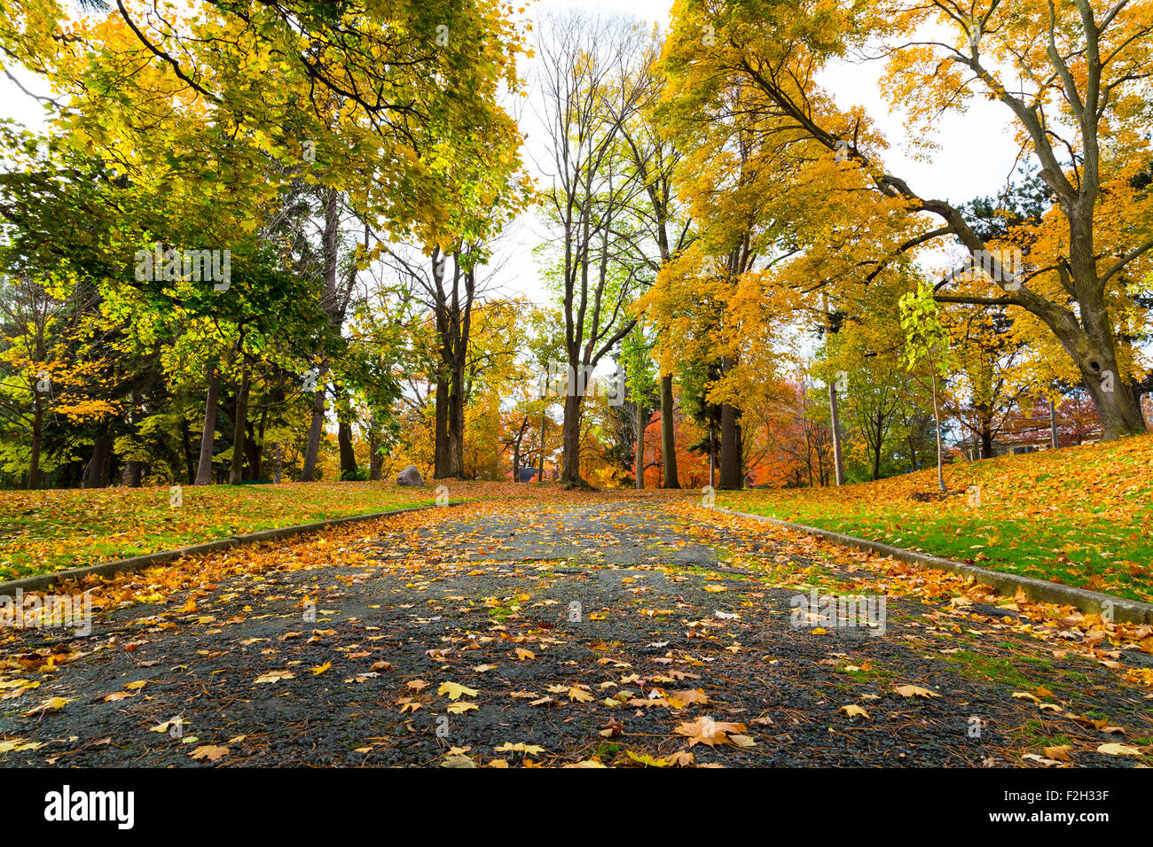Schöner Fußweg in Kanada im Herbst. Bunte Ahornblätter auf dem Boden gesehen werden kann und an Bäumen beiderseits der Stockfoto
