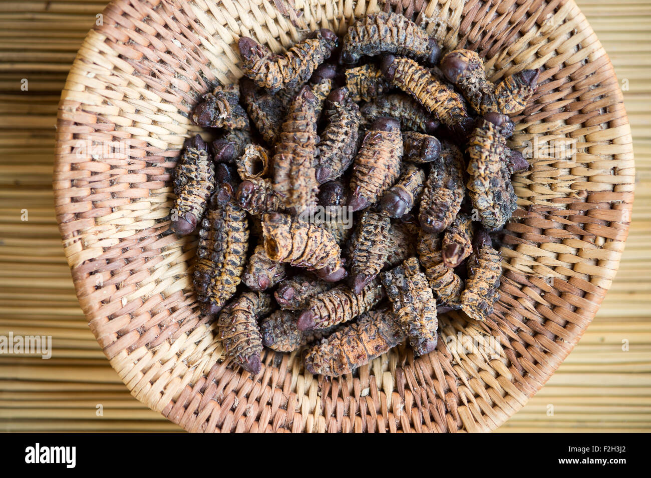 Handgewebte Schüssel von essbaren Mopane Worms (Gonimbrasia Belina) in Botswana, Afrika Stockfoto