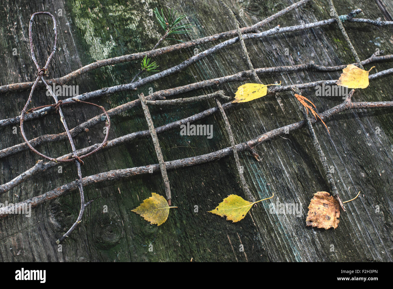 Musiknoten-Konzeption. Hölzerne Noten und Blätter Stockfoto