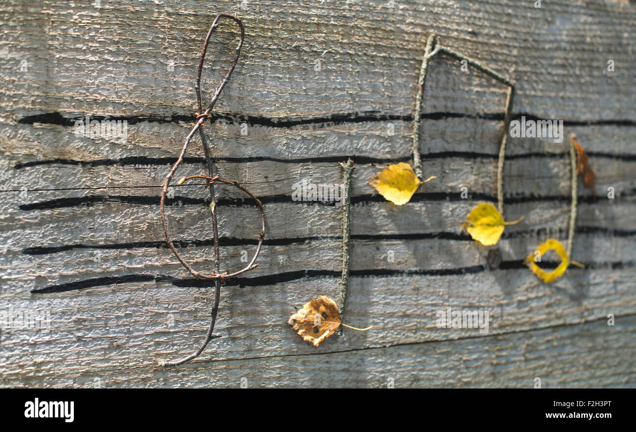 Musiknoten-Konzeption. Hölzerne Noten und Blätter Stockfoto