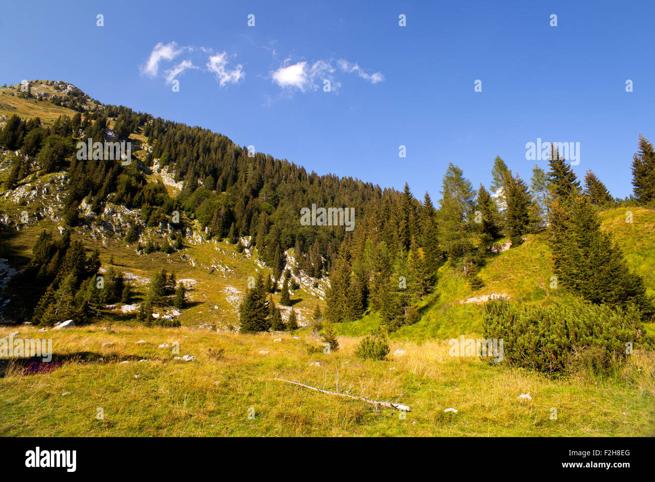 Blick auf den Berg Krn, slowenischen Julischen Alpen Stockfoto