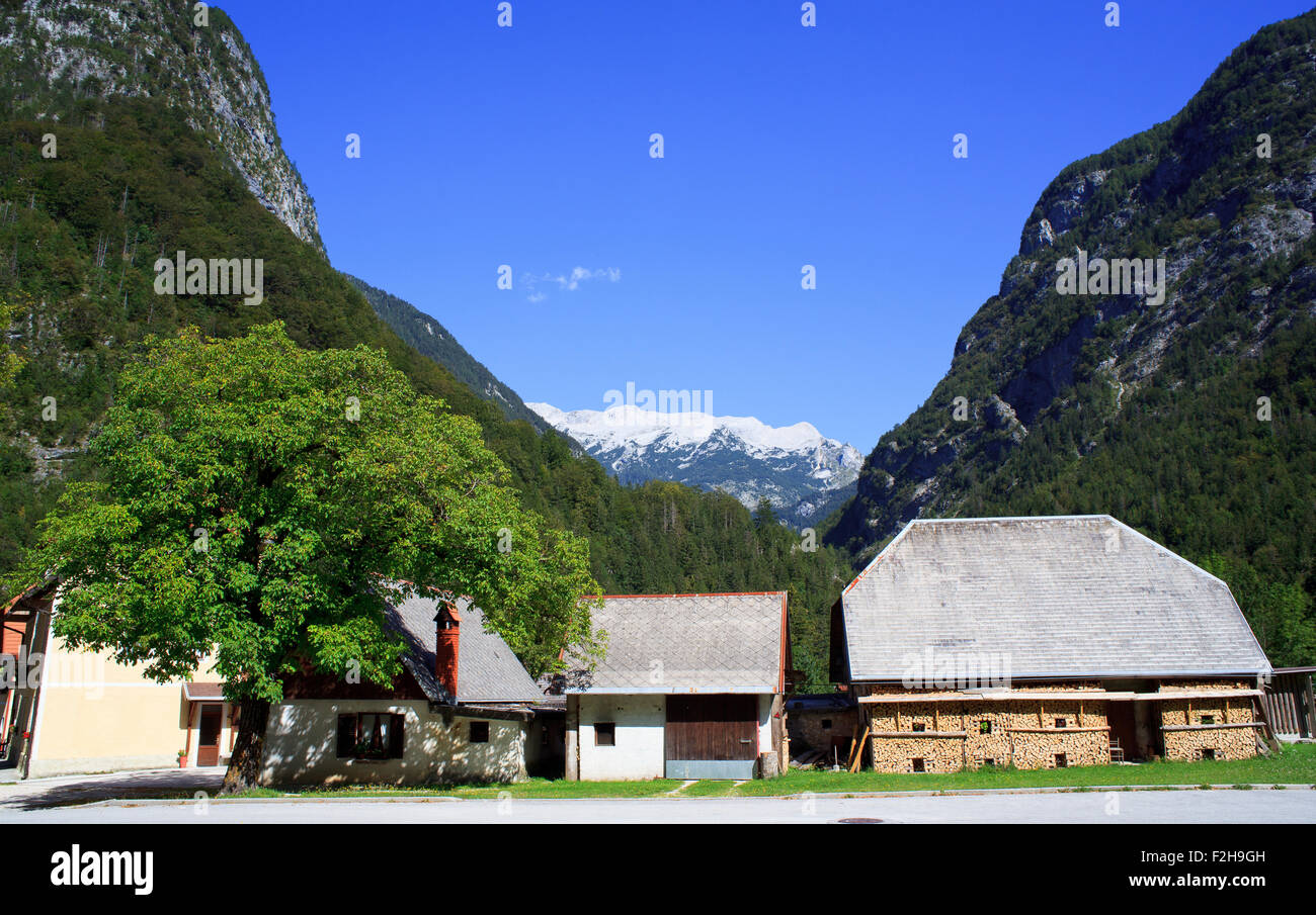 Altes Holzhaus im slowenischen Julischen Alpen Stockfoto