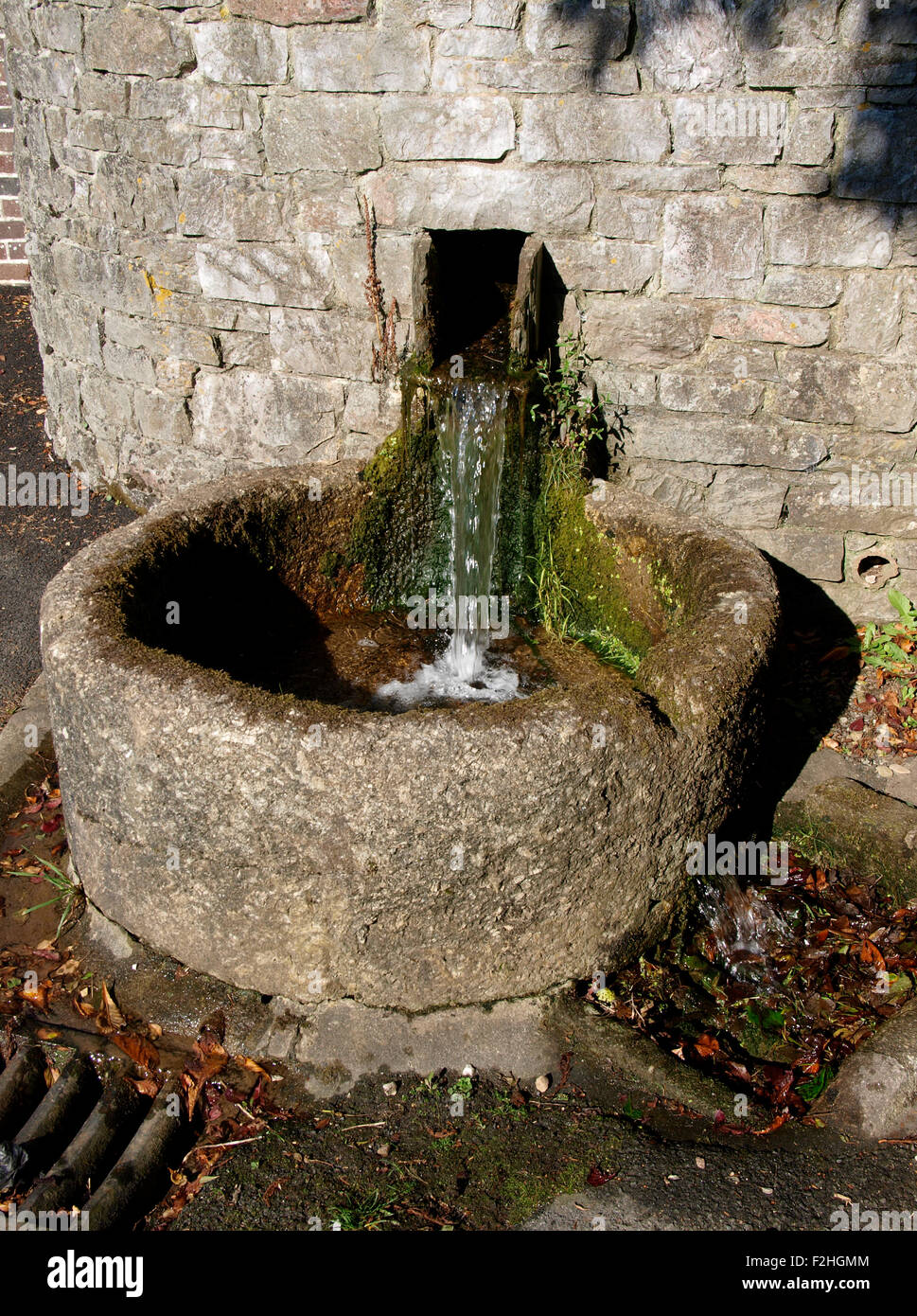 Wasser-Trog, Newton Ferrers, Devon, UK Stockfoto
