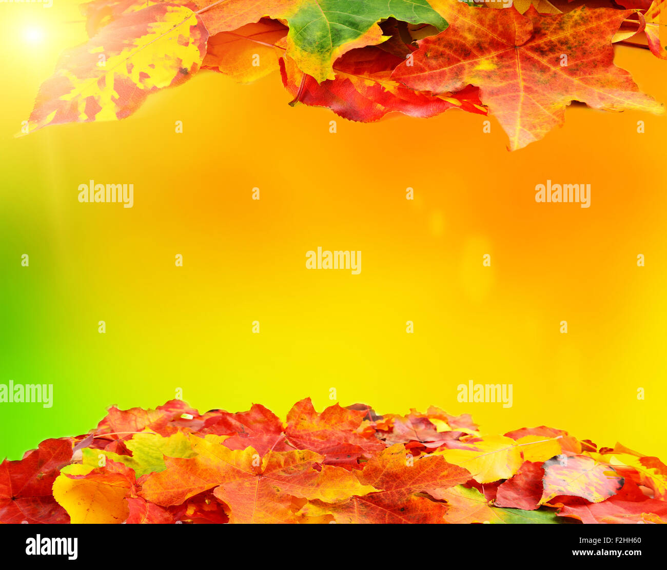 fallen Sie im Herbst Blatt Hintergrunddekoration mit Exemplar für Ihren text Stockfoto