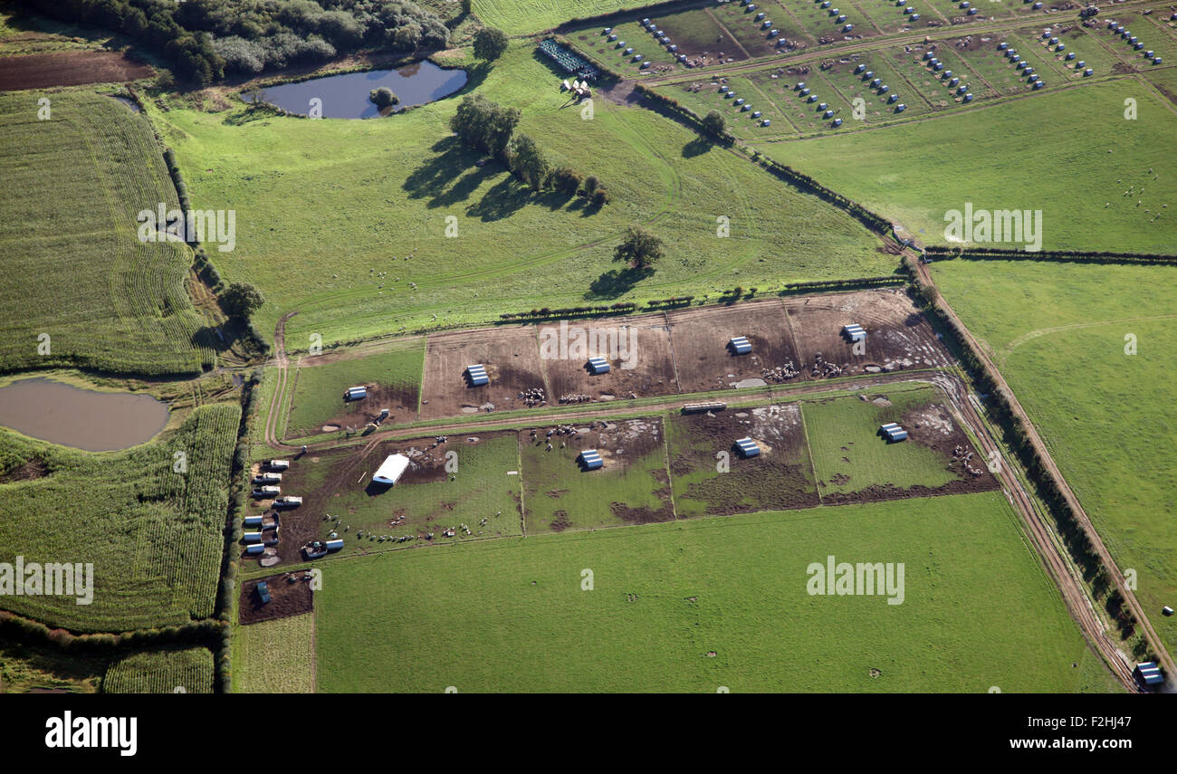 Luftaufnahme von einer Schweinefarm in Yorkshire, Großbritannien Stockfoto