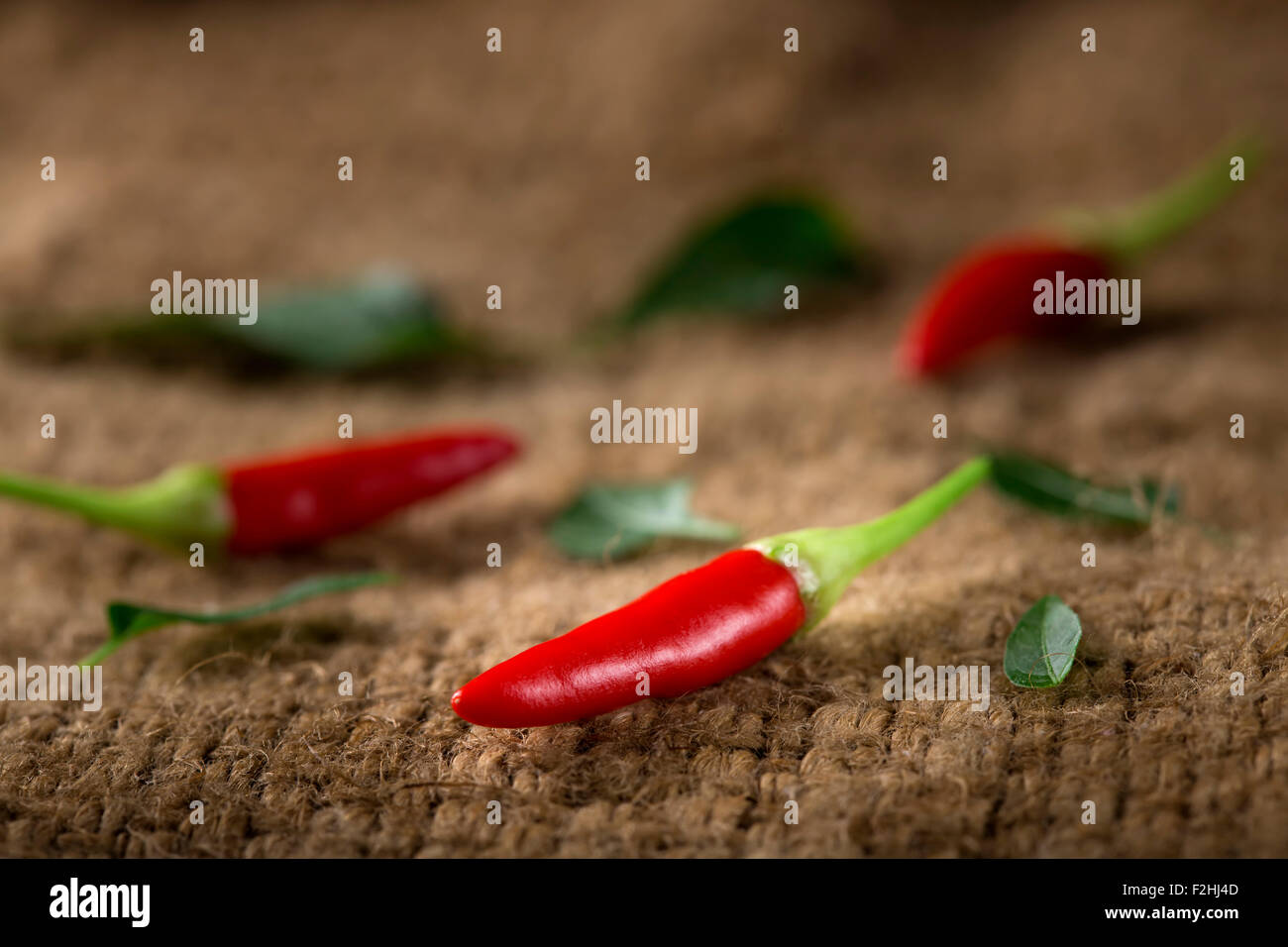 Einige frische kleine red hot chili Peppers auf alten rustikalen Stofftasche Stockfoto