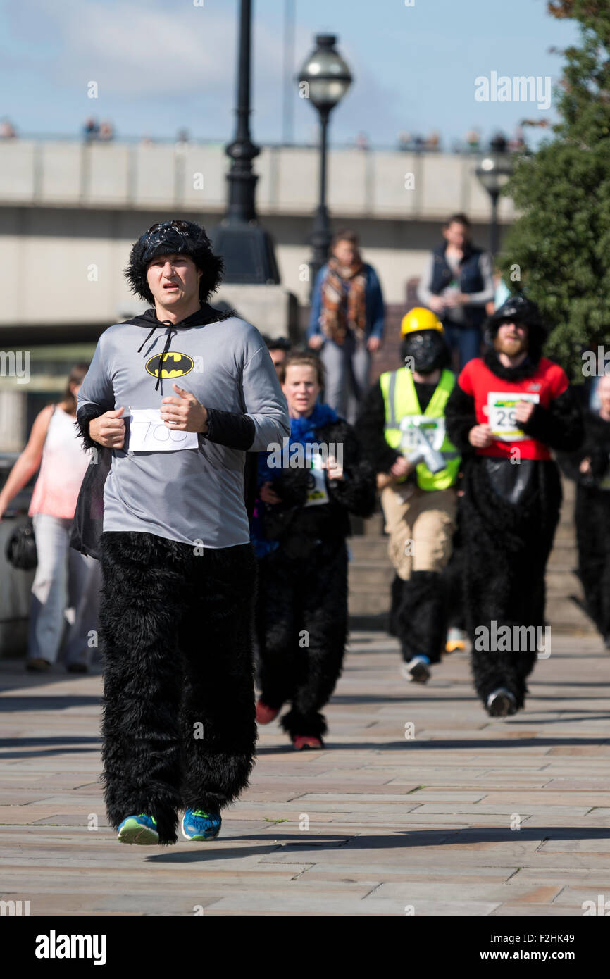 London, UK. 19. September 2015. Die großen Gorilla eine Charity run zugunsten der Gorilla Organization, London, England. Bildnachweis: Simon Balson/Alamy Live-Nachrichten Stockfoto