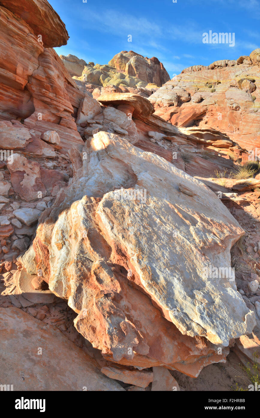 Bunten Sandstein ist überall im Valley of Fire State Park nördlich von Las Vegas im südöstlichen Nevada Stockfoto
