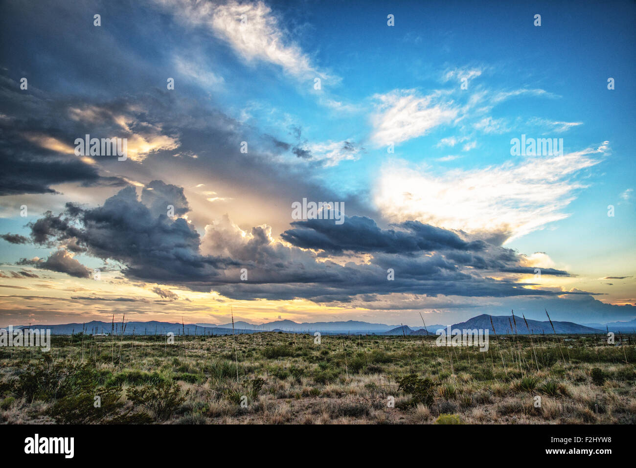 Ein Sonnenuntergang über der Wüste von El Paso Stockfoto