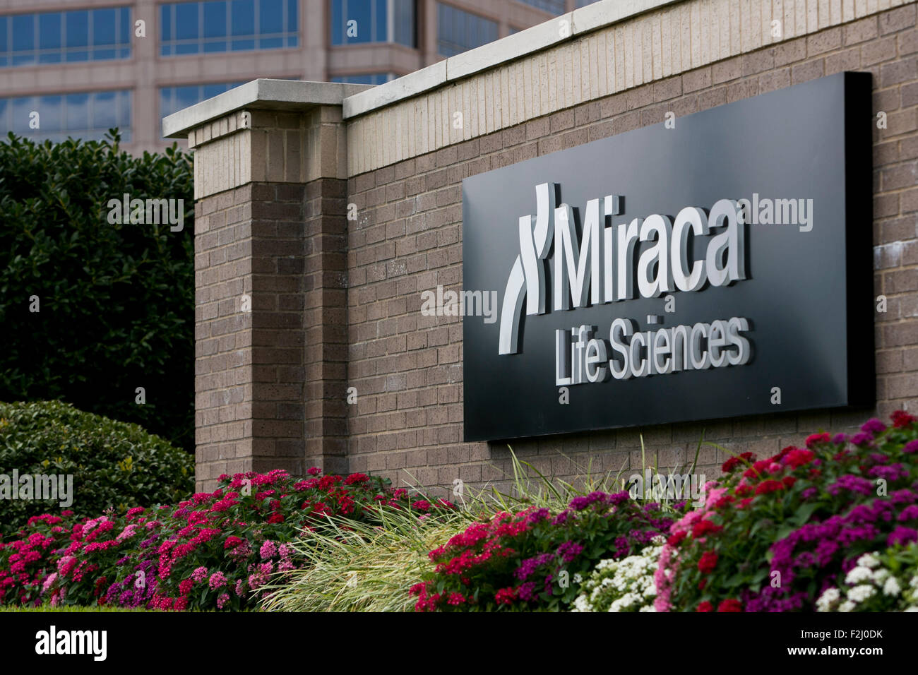 Ein Logo Zeichen außerhalb der Hauptsitz von Miraca Life Sciences in Irving, Texas am 13. September 2015. Stockfoto
