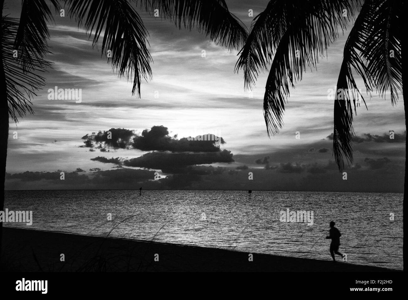 Silhouette einer Person laufen am Strand bei Sonnenuntergang, Key West, Monroe County, Florida, USA Stockfoto